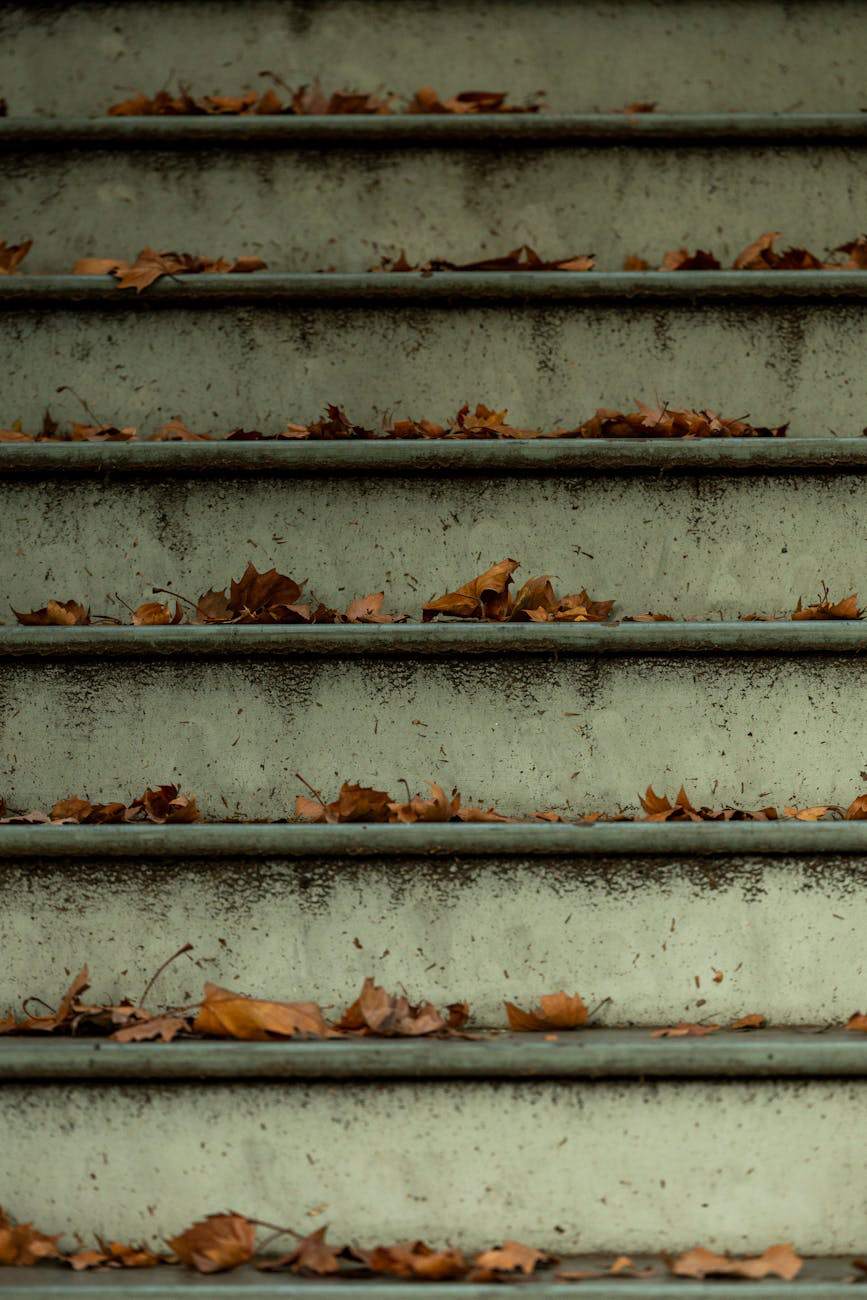 The Real Girl Diaries — Episode&nbsp;24